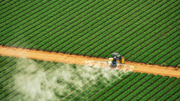 Best Pest Control for Businesses  in Nolanville, TX