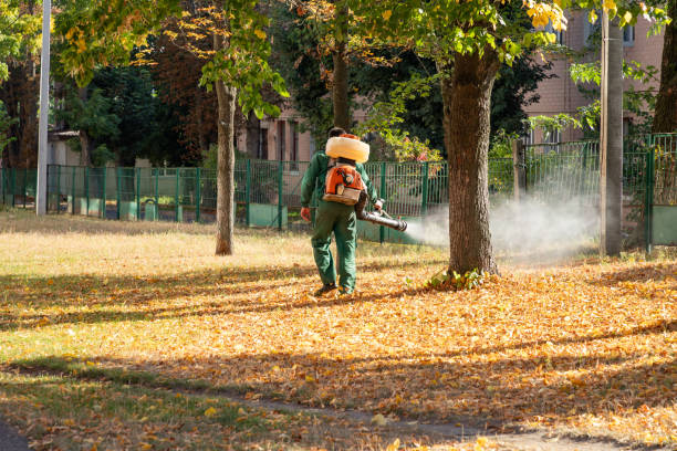 Best Commercial Pest Control Services  in Nolanville, TX